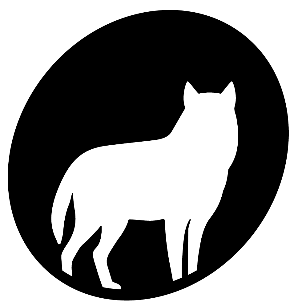 Tallinn Black Nights Film Festival